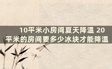 10平米小房间夏天降温 20平米的房间要多少冰块才能降温